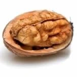 تاثیرات مغزها در بدن انسان