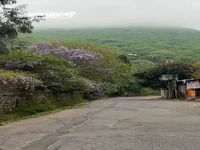 طبیعت بهاری رامسر زیبا