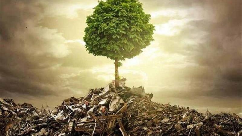 مقابله با بحران زیستمحیطی با کمک دستگاههای اجرایی در نظرآباد