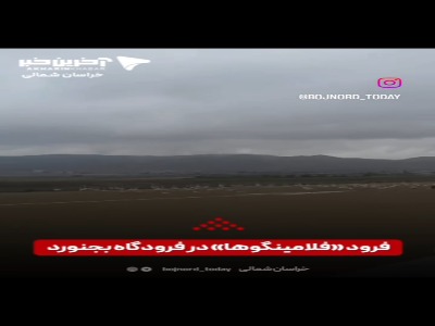 فرود «فلامینگوها» در فرودگاه بجنورد