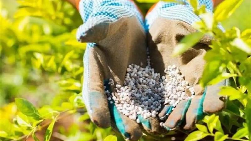 نیترات و سرطان، میراث شوم کودهای یارانهای!