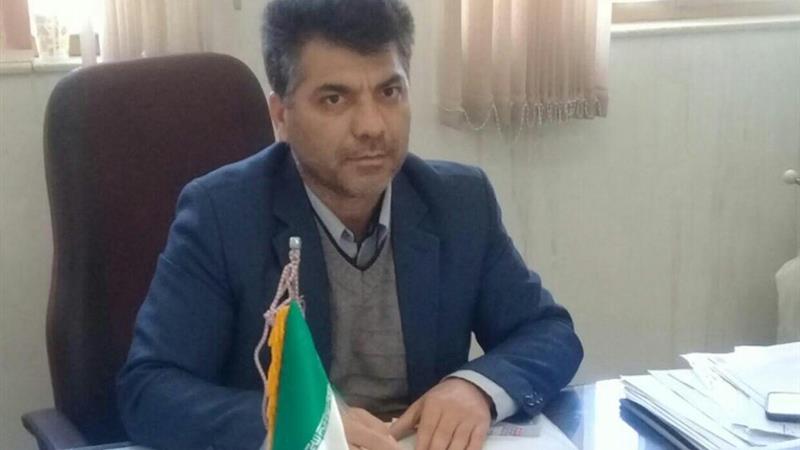 تشکیل ۱۲ پرونده قضایی در حوزه منابع طبیعی شاهرود