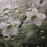 افزایش ناپایداری‌های جوی در زنجان