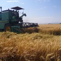 پرداخت کامل مطالبات کشاورزان لرستانی
