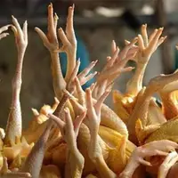 ظرفیت صادرات ۵۰ هزار تن پای مرغ ایران به چین
