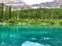 آرامش با طبیعت