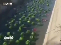 رودخانه هندوانه در بوشهر