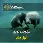  مهربانترین غول دنیا