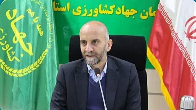 هدررفت ۳۰ درصدی گندم در کشور، چالشی بزرگ برای امنیت غذایی