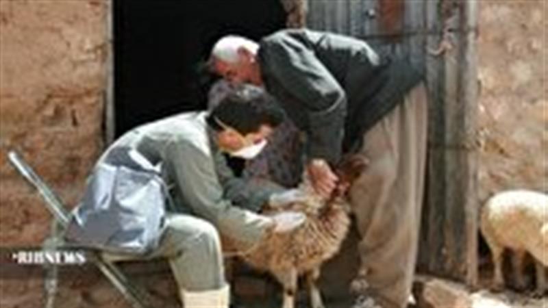 آغاز واکسیناسیون طاعون و تب مالت در سلسله