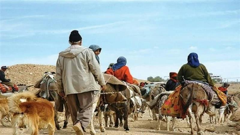 کوچ ۵ هزار خانوار عشایری خراسان جنوبی