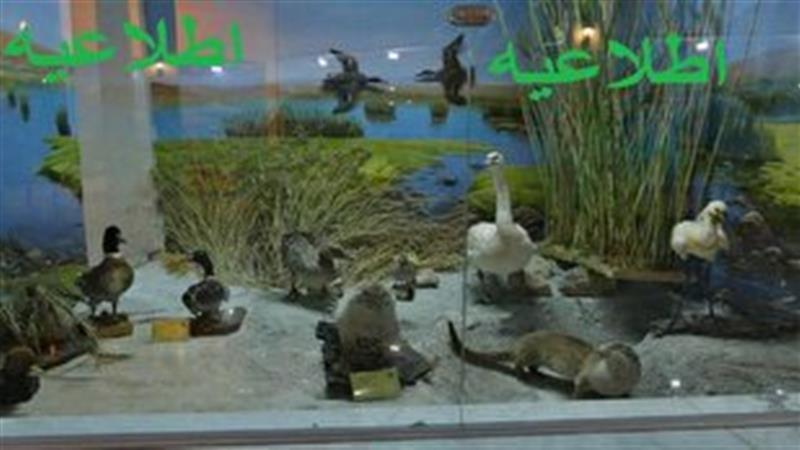 بازدید رایگان از موزه تاریخ طبیعی اردبیل بهمناسبت روز زمین پاک