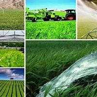 بانک کشاورزی بوشهر ۳۰ هزار میلیارد ریال تسهیلات پرداخت کرد