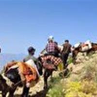 آغاز کوچ بهاره عشایر در استان قزوین