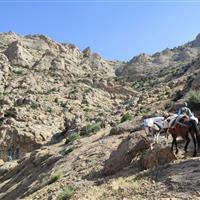 آغاز کوچ بهاره عشایر در قزوین