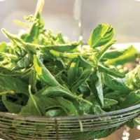 ۶ ضدعفونی‌کننده طبیعی برای سبزیجات
