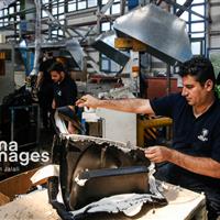 پرداخت ۵۰هزار میلیارد ریال به تولیدکنندگان بوشهری درحال انجام است