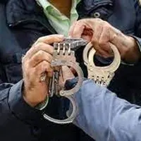 نقـاش قلابـــــی سارق مجسمه‌های گرانبـها بود