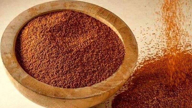 برآورد برداشت ۲۱ تن خاکشیر از ۴۲ هکتار اراضی کشاورزی شاهرود