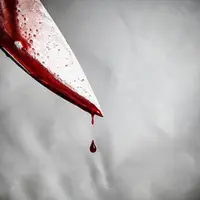 ماشین مادرِ قاتل، راز جنایت چیتگر را لو داد