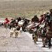 کوچ ۱۱ هزار خانوار عشایری لرستان آغاز شد