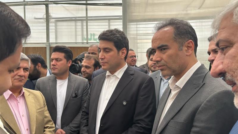 مجتمع گلخانه‌ای قباسرخ تا پایان سال به بهره‌برداری کامل برسد