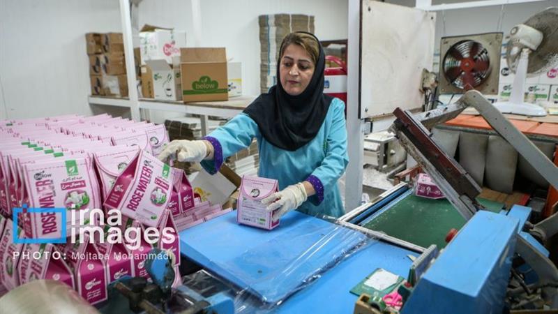 مدیرکل صمت: دانش‌بنیان‌ها، پیشران رشد اقتصادی گلستان هستند