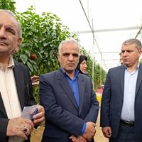 رییس کمیسیون کشاورزی مجلس: حوزه کشاورزی در برنامه هفتم توسعه مورد توجه قرار گرفت