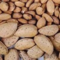 افزایش صادرات مغز بادام از چهارمحال و بختیاری
