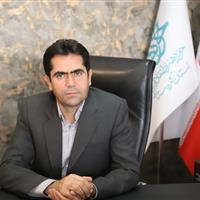 «هفته سنه» با هنر هنرمندان و صدای رسانه‌ها معرفی می‌شود