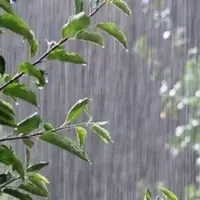 کاهش 15 درجه‌ای دما در گیلان