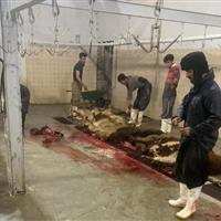 کشتارگاه دام پاوه؛ از مشکلات بهداشتی و محیط‌زیستی تا قول شهردار برای رفع نواقص