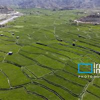 گلستان در تنگنای کم‌آبی؛ چگونه از فاجعه آبی به کشاورزی پایدار برسیم؟