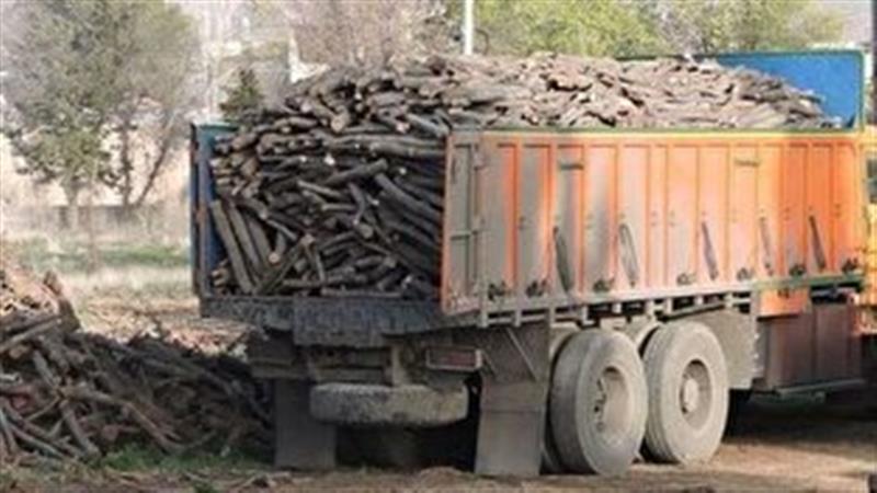 کشف ۷ تن چوب قاچاق در قزوین