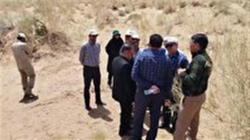 شناسایی کانون‌های آلوده ملخ کوهان دار در شهرستان زیرکوه