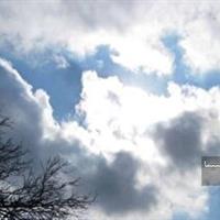 آسمان نیمه ابری همراه با وزش باد شدید و گرد و خاک در قم