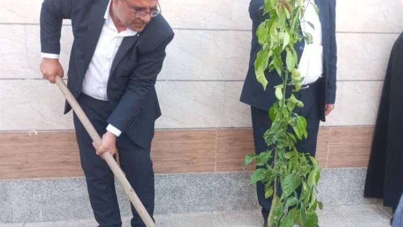 توسعه فضای سبز در مرکز استان بوشهر