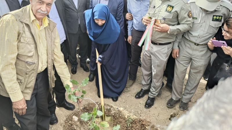 شهردار: کریدور سبز شهری با کاشت ۱۰ هزار اصله نهال در خرمآباد اجرا میشود