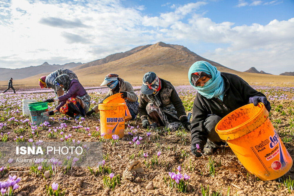 عکس/ کارگران، رهایی از مشکلات هرگز!
