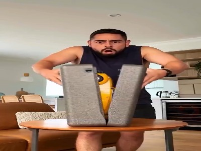 یک شاهکارِ 133میلیونی!