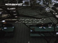 هیچ کس، هیچ کس اینجا به تو مانند نشد