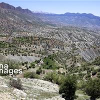 باران بهاری کسری بارش‌ها در چهارمحال و بختیاری را جبران نکرد