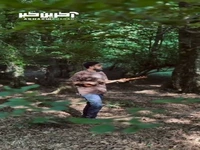 تک نوازی زیبای سه تار در طبیعت