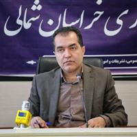 فرش، دام و گیاهان دارویی خراسان‌شمالی در اولویت پرداخت تسهیلات قرار دارند