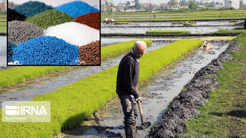توزیع کود شیمیایی کشت بهاره در خراسان‌شمالی ۵۸ درصد افزایش یافت