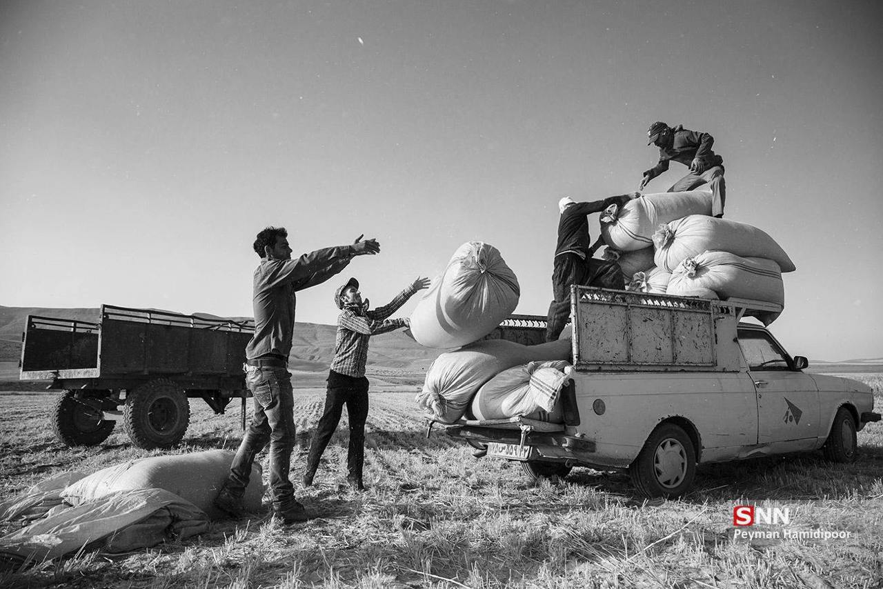 عکس/ ۱۱ اردیبهشت؛ روز کارگر
