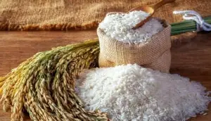 روش شمالی ها برای نگهداری برنج خام