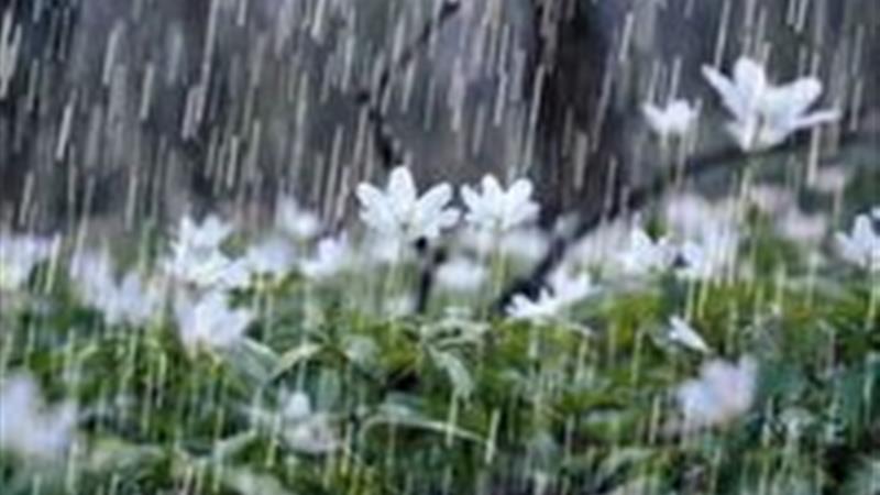احتمال بارش باران از جمعه تا اواسط هفته آینده در زنجان