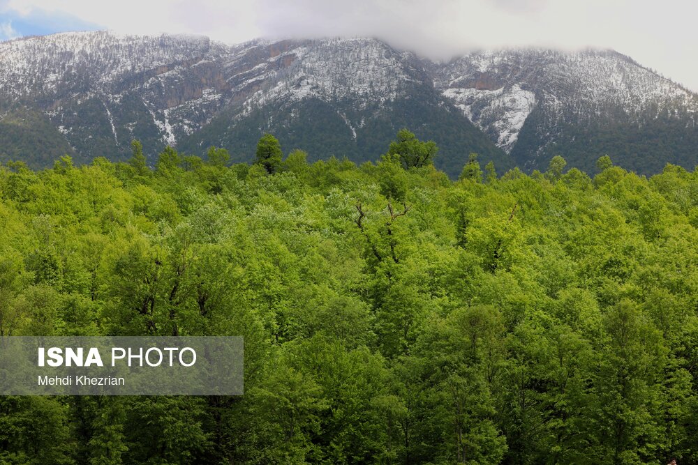 ایران زیباست؛ رودبار طبیعت گمشده‌ی گیلان