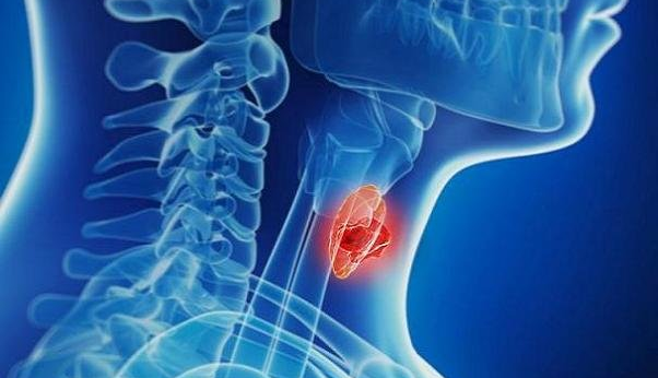 هشدار پژوهشگران؛ آلودگی محیطی، تیروئید کودکان را هدف گرفته است